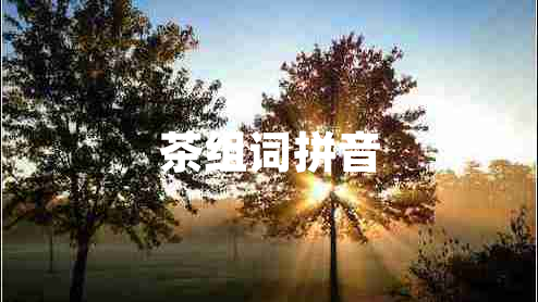 茶組詞拼音 茶組詞拼音