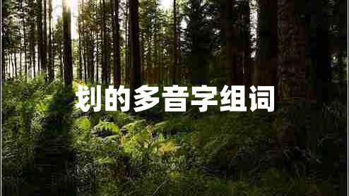 劃的多音字組詞