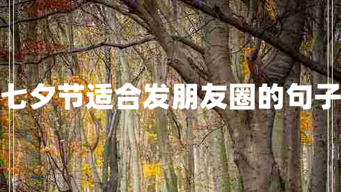 七夕節(jié)適合發(fā)朋友圈的句子