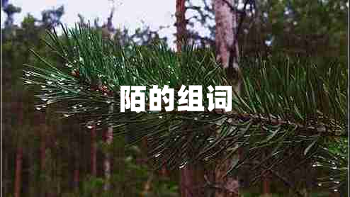 陌的組詞 陌的組詞