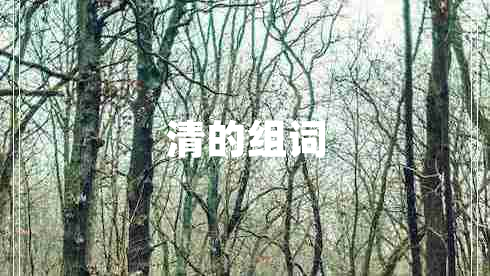 清的組詞