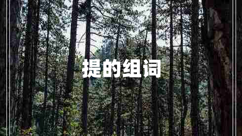 提的組詞