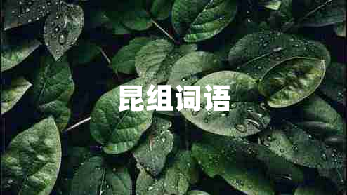 昆組詞語(yǔ)