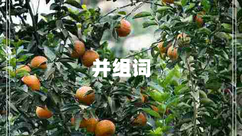 并組詞 并組詞