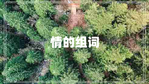 情的組詞