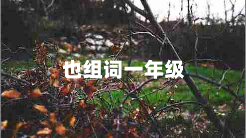 也組詞一年級(jí) 也組詞一年級(jí)