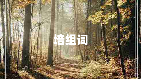 培組詞
