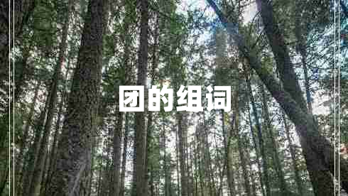 團(tuán)的組詞 團(tuán)的組詞