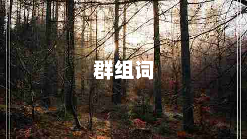 群組詞