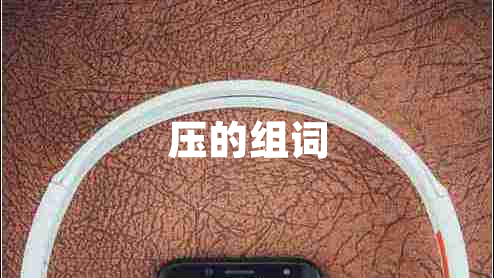 壓的組詞 壓的組詞