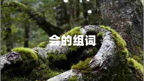 會的組詞