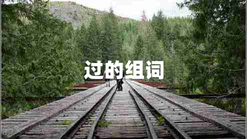 過(guò)的組詞