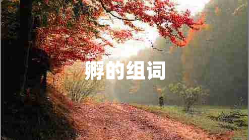 孵的組詞 孵的組詞