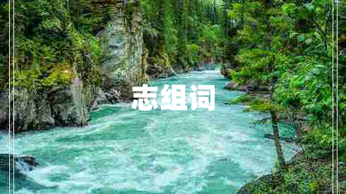 志組詞