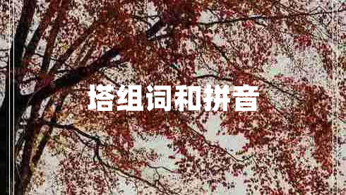 塔組詞和拼音 塔組詞和拼音