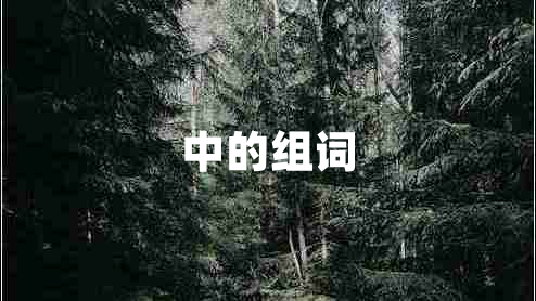 中的組詞