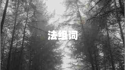 法組詞