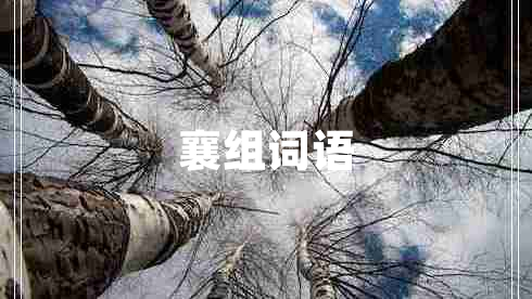 襄組詞語