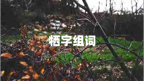 犧字組詞 犧字組詞