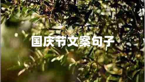 國慶節(jié)文案句子