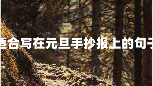 適合寫在元旦手抄報上的句子