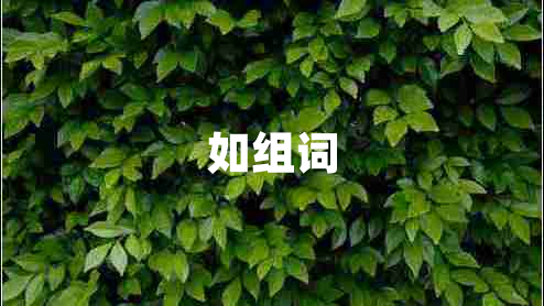 如組詞 如組詞