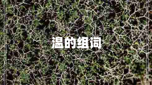 溫的組詞