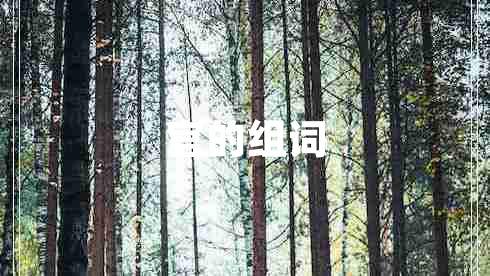 官的組詞 官的組詞