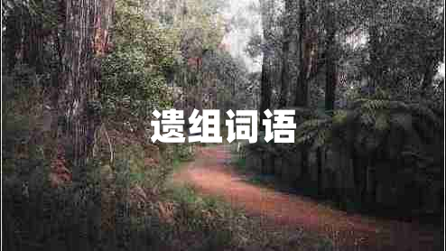遺組詞語(yǔ) 遺組詞語(yǔ)