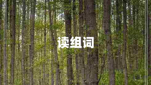 讀組詞 讀組詞