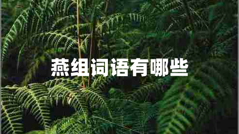 燕組詞語(yǔ)有哪些