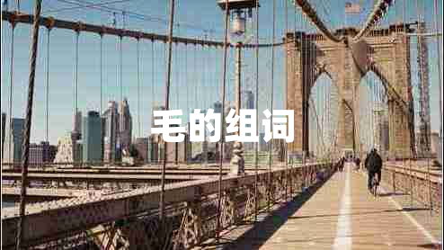 毛的組詞