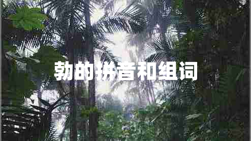 勃的拼音和組詞