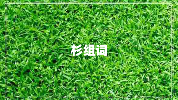 杉組詞 杉組詞