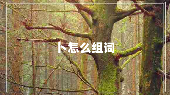 卜怎么組詞