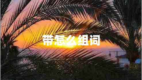 帶怎么組詞