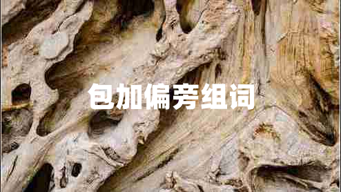 包加偏旁組詞