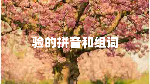 驗的拼音和組詞