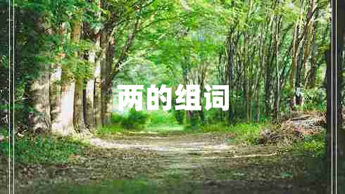 兩的組詞