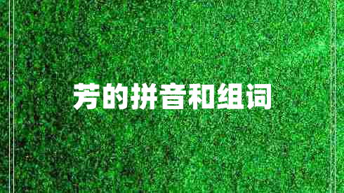 芳的拼音和組詞