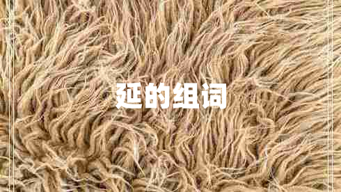 延的組詞 延的組詞