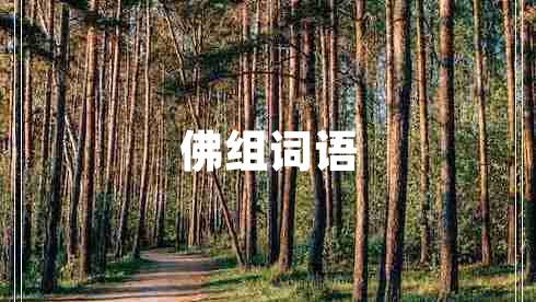 佛組詞語