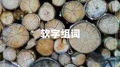 軟字組詞 軟字組詞