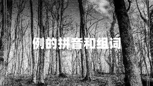 例的拼音和組詞 例的拼音和組詞