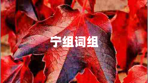 寧組詞組 寧組詞組