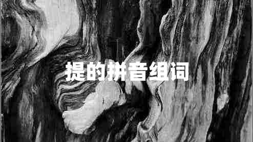 提的拼音組詞