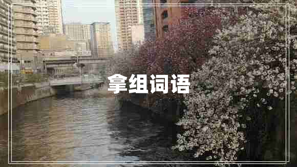 拿組詞語(yǔ) 拿組詞語(yǔ)