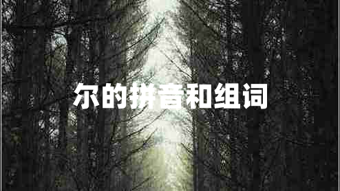 爾的拼音和組詞 爾的拼音和組詞