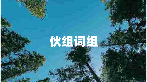 伙組詞組 伙組詞組