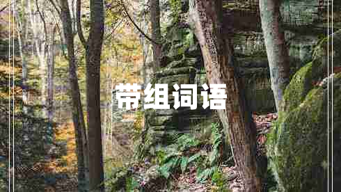 帶組詞語(yǔ)